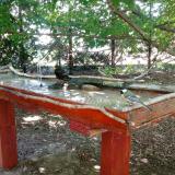 photo 2022-06-23 12-44-20