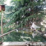 photo 2023-04-23 12-07-13