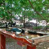 photo 2022-06-01 14-48-08