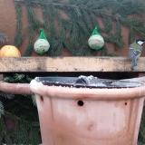 photo 2024-01-08 08-38-36