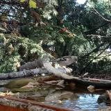 photo 2022-10-20 08-36-16 skiralyka