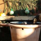 photo 2024-01-11 13-15-29