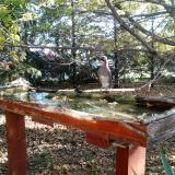 photo 2022-10-17 08-52-36