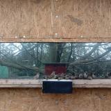 photo 2023-03-05 11-13-46