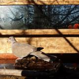 photo 2022-02-03 09-05-09