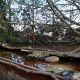 photo 2022-02-17 13-47-03