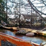 photo 2022-02-24 07-43-10