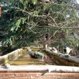 photo 2023-03-13 08-58-45