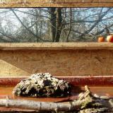 photo 2022-02-05 12-55-32