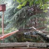 photo 2023-06-27 07-31-42