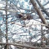 photo 2022-02-17 10-22-16 szajko