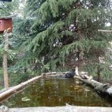 photo 2023-04-05 11-58-17