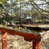 photo 2022-10-22 10-43-11