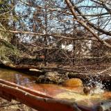 photo 2022-02-15 11-37-07