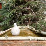 photo 2023-03-20 11-37-25