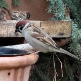 photo 2024-01-06 14-16-27 2