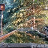 photo 2023-09-29 07-23-09