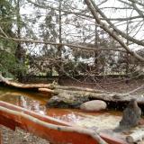 photo 2022-02-21 08-47-28