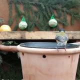 photo 2024-01-09 10-47-57