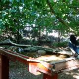 photo 2022-06-01 16-39-55