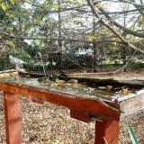 photo 2022-10-22 10-00-27