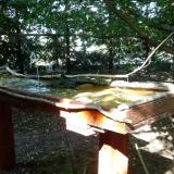 photo 2022-07-21 16-38-47