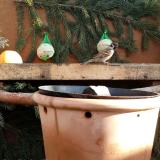 photo 2024-01-02 10-51-20