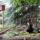 photo 2023-05-25 12-43-09