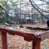 photo 2022-10-23 07-42-13