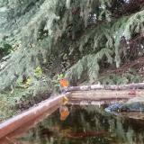 photo 2023-09-25 17-43-42