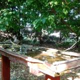 photo 2022-05-11 16-40-22