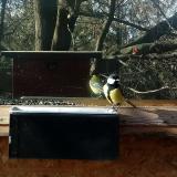 photo 2022-12-25 11-32-49