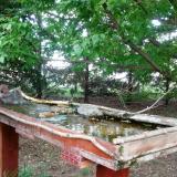 photo 2022-05-02 15-06-23