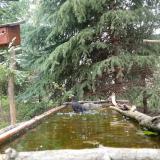 photo 2023-04-09 12-37-46