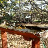 photo 2022-10-22 10-45-33