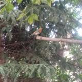 photo 2023-09-25 17-44-12