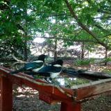 photo 2022-06-03 10-44-05