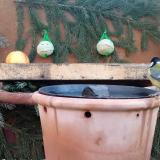 photo 2023-12-28 08-55-24