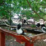 photo 2022-06-01 11-37-19