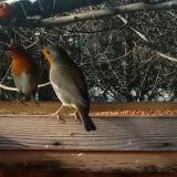 photo 2022-12-13 11-09-55