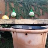 photo 2023-12-27 08-48-23