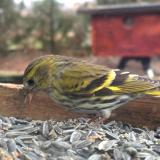 386447707 650604577002603 5651013799231344576 n