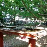 photo 2022-06-05 16-21-05