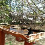 photo 2022-04-06 12-39-49