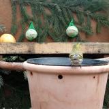 photo 2024-01-09 10-06-58