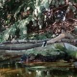 photo 2023-08-31 16-02-46