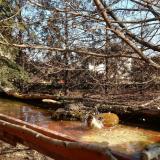 photo 2022-02-15 11-37-13