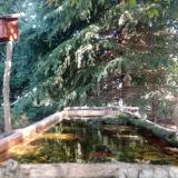 photo 2023-09-27 10-31-02