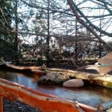 photo 2022-02-24 07-44-12