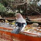 photo 2022-10-24 09-45-57